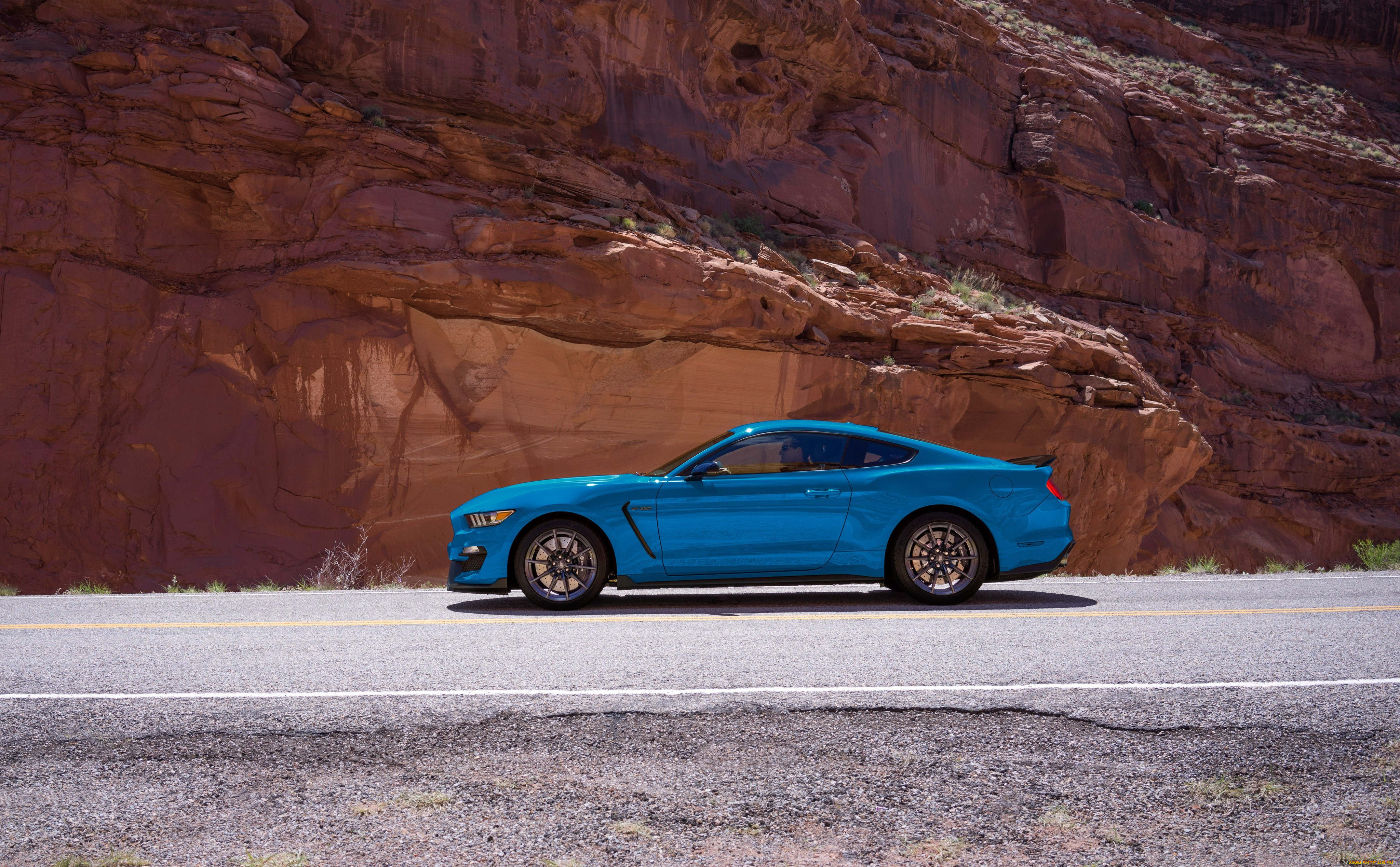 , mustang, shelby